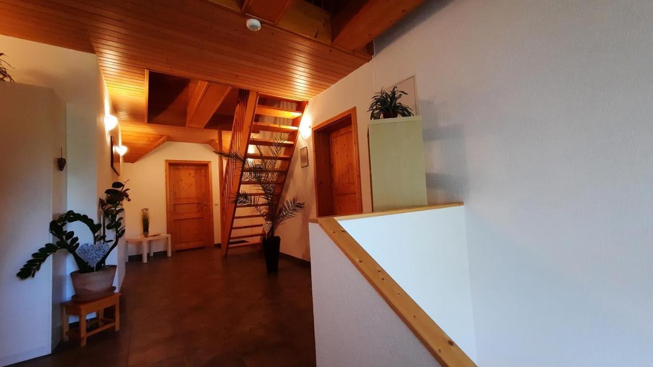 Haus Alexandra Apartment *